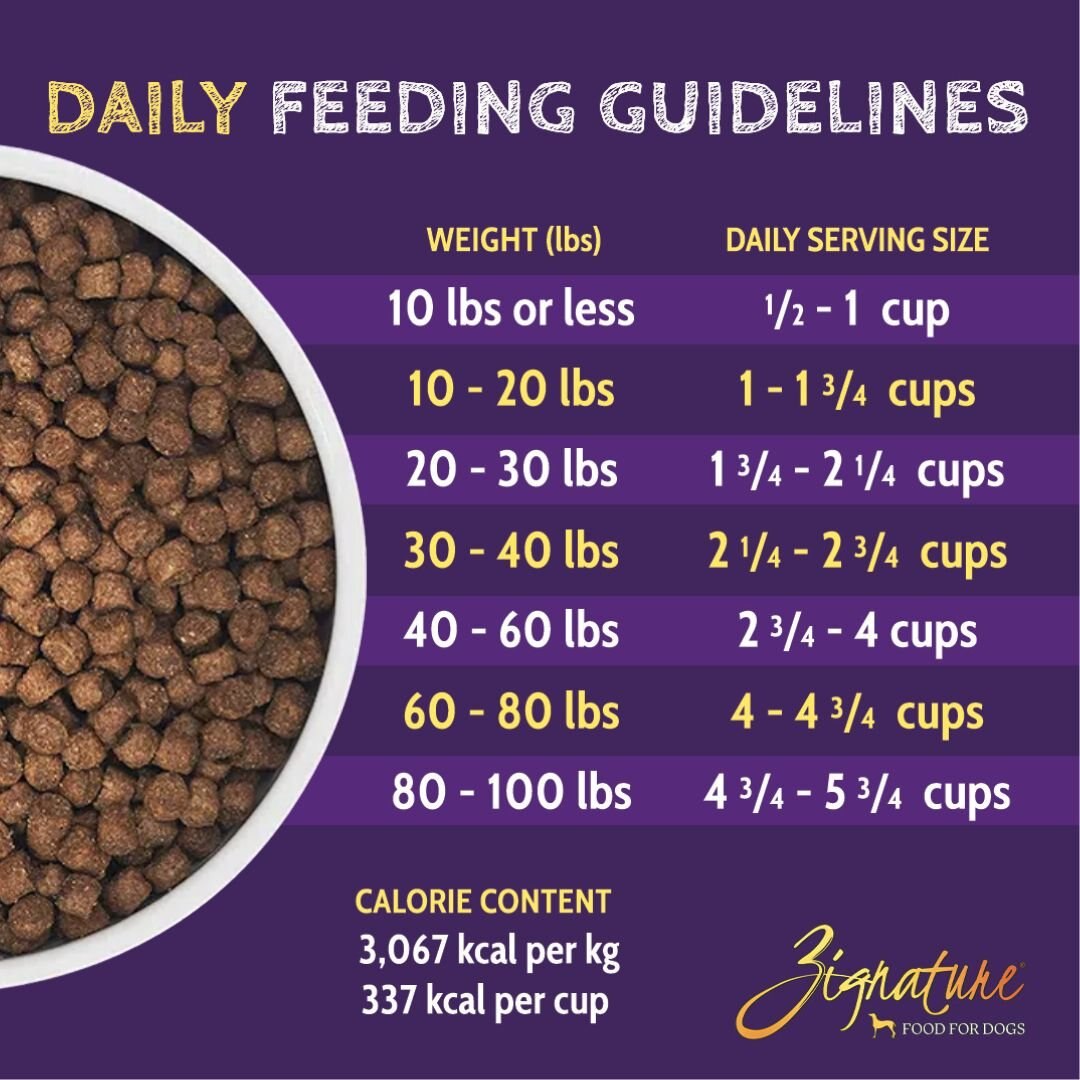 Zignature Small Bites Trout and Salmon Meal Dry Dog Food