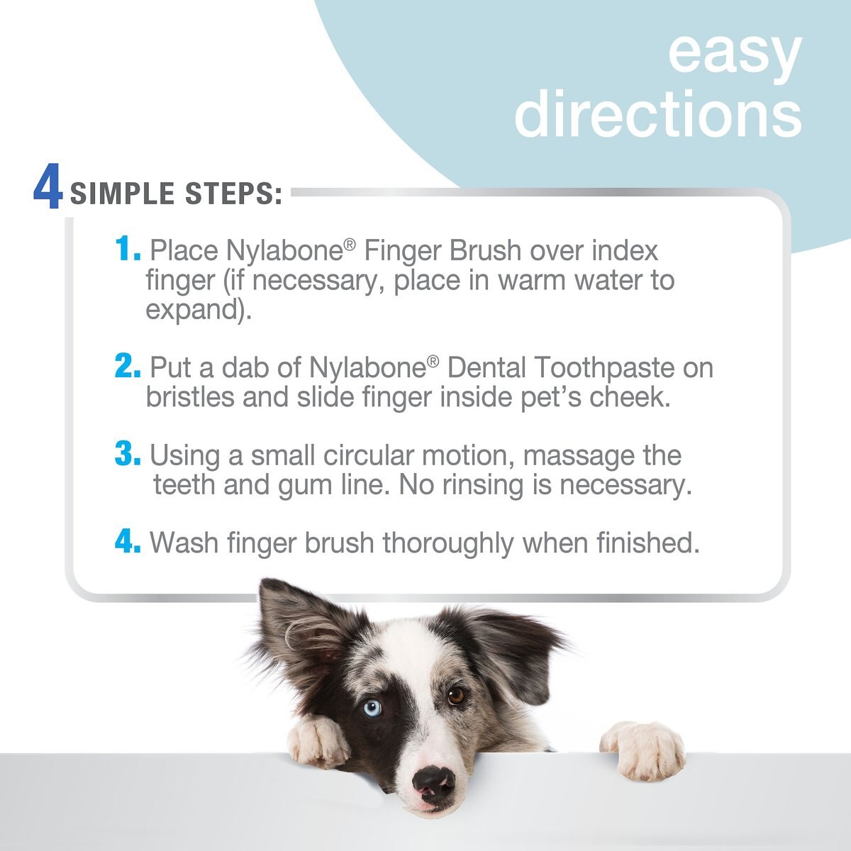 Nylabone Advanced Oral Care Finger Dog Brush， 2 count