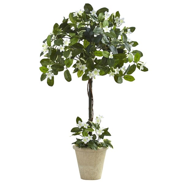 3' Stephanotis Topiary with Planter