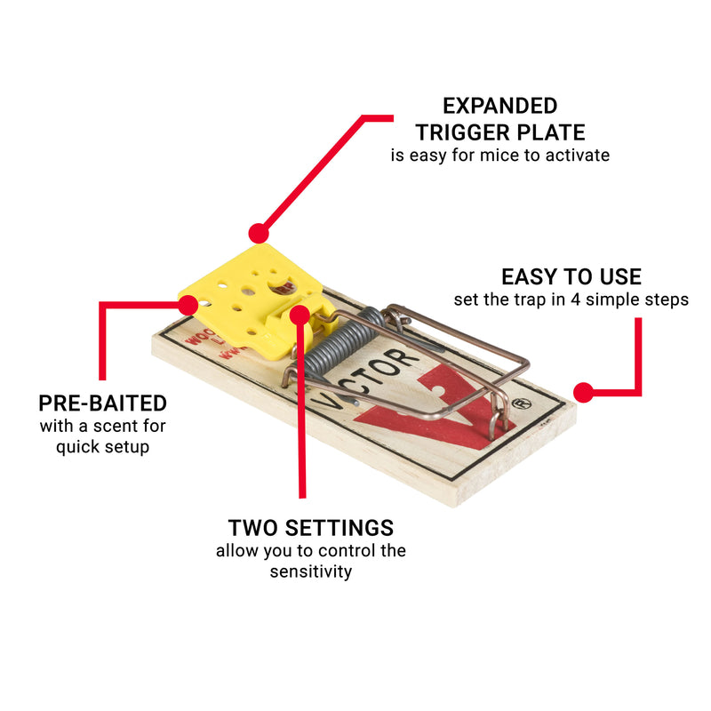 EASY SET MOUSE TRAP 4PK