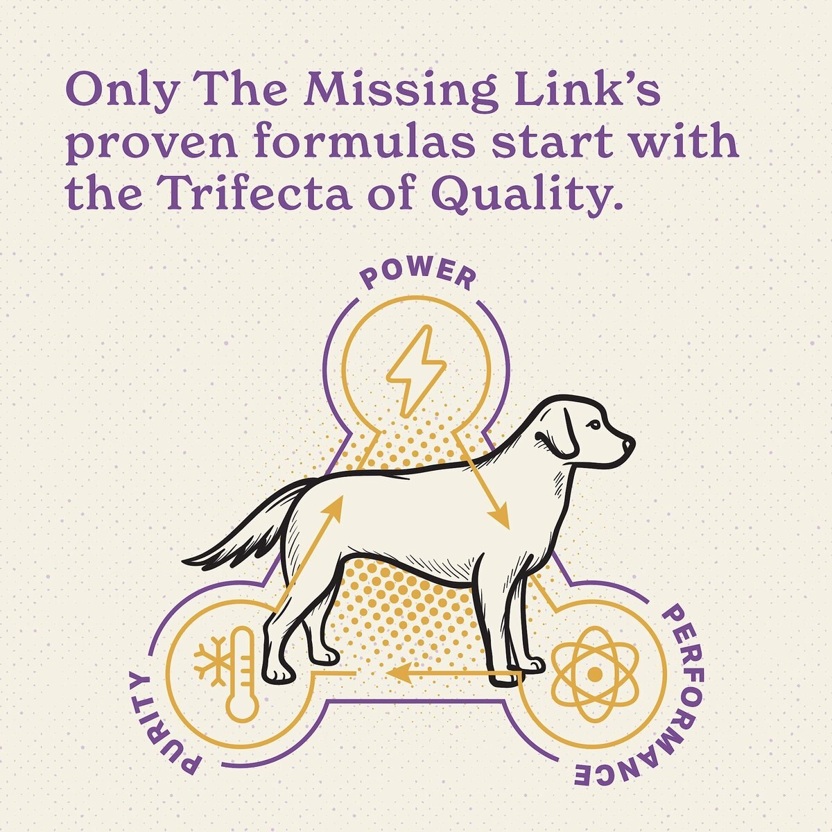 The Missing Link Ultimate Canine Senior Health Formula Dog Supplement