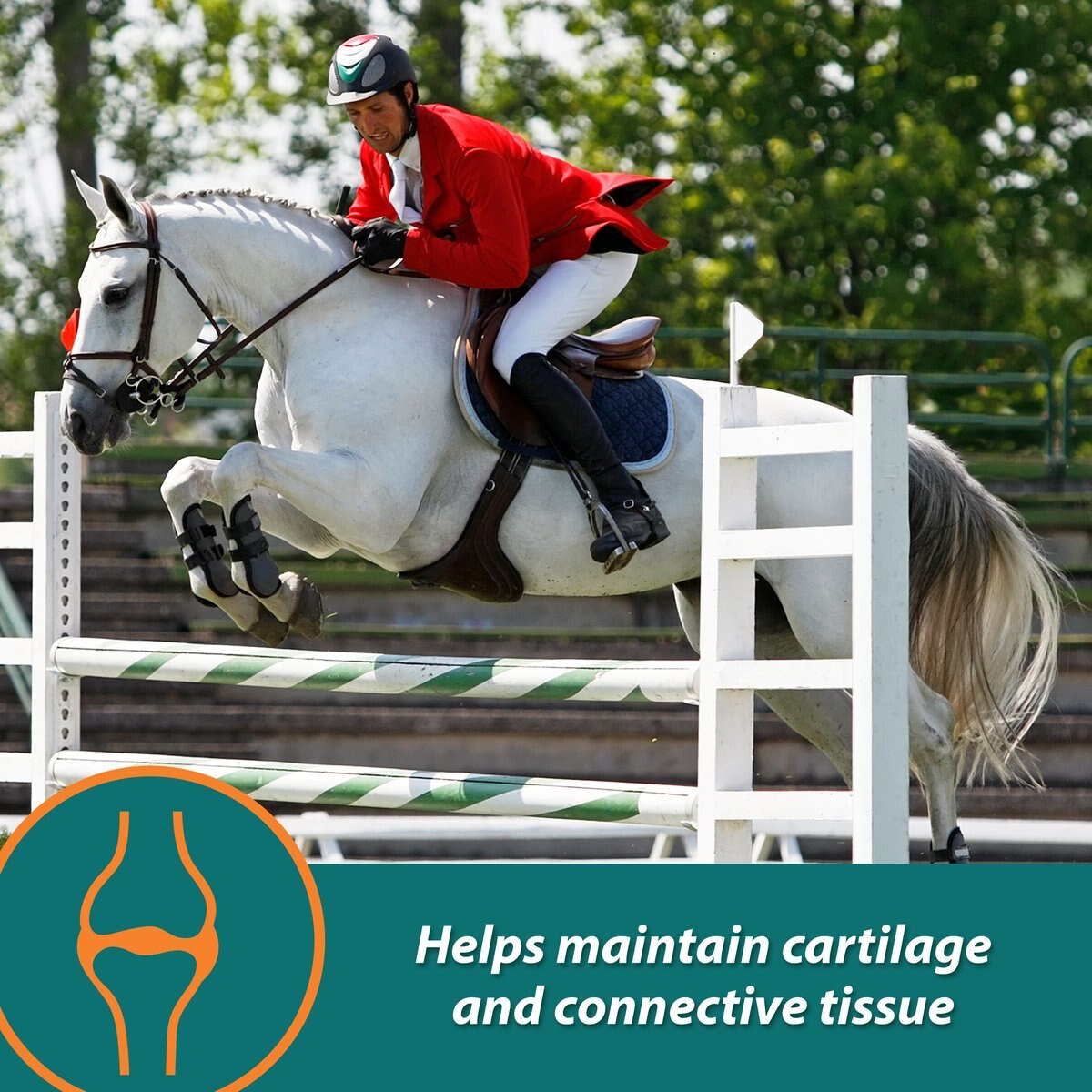 Farnam Next Level Joint Fluid Supplement， Supports Healthy Hip and Joint Function Horses and Dogs