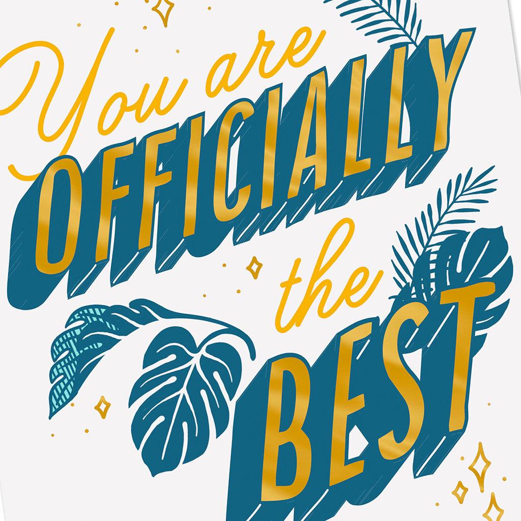 Hallmark  You Are the Best Video Greeting Thank-You Card