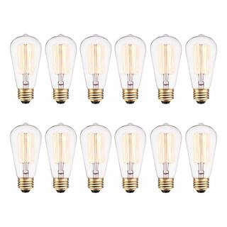 Globe Electric 40 Watt ST19 Dimmable Cage Filament Vintage Edison Incandescent Light Bulb Soft White Light (12-Pack) 313242