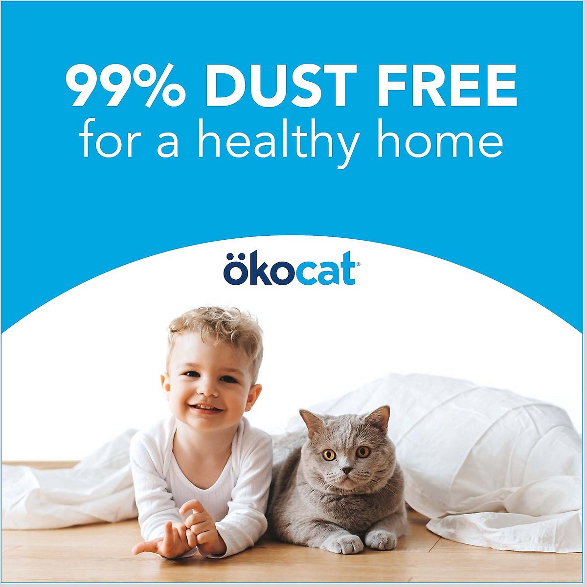 Okocat Original Premium Wood Clumping Cat Litter， 19.8 lb， Bundle of 2