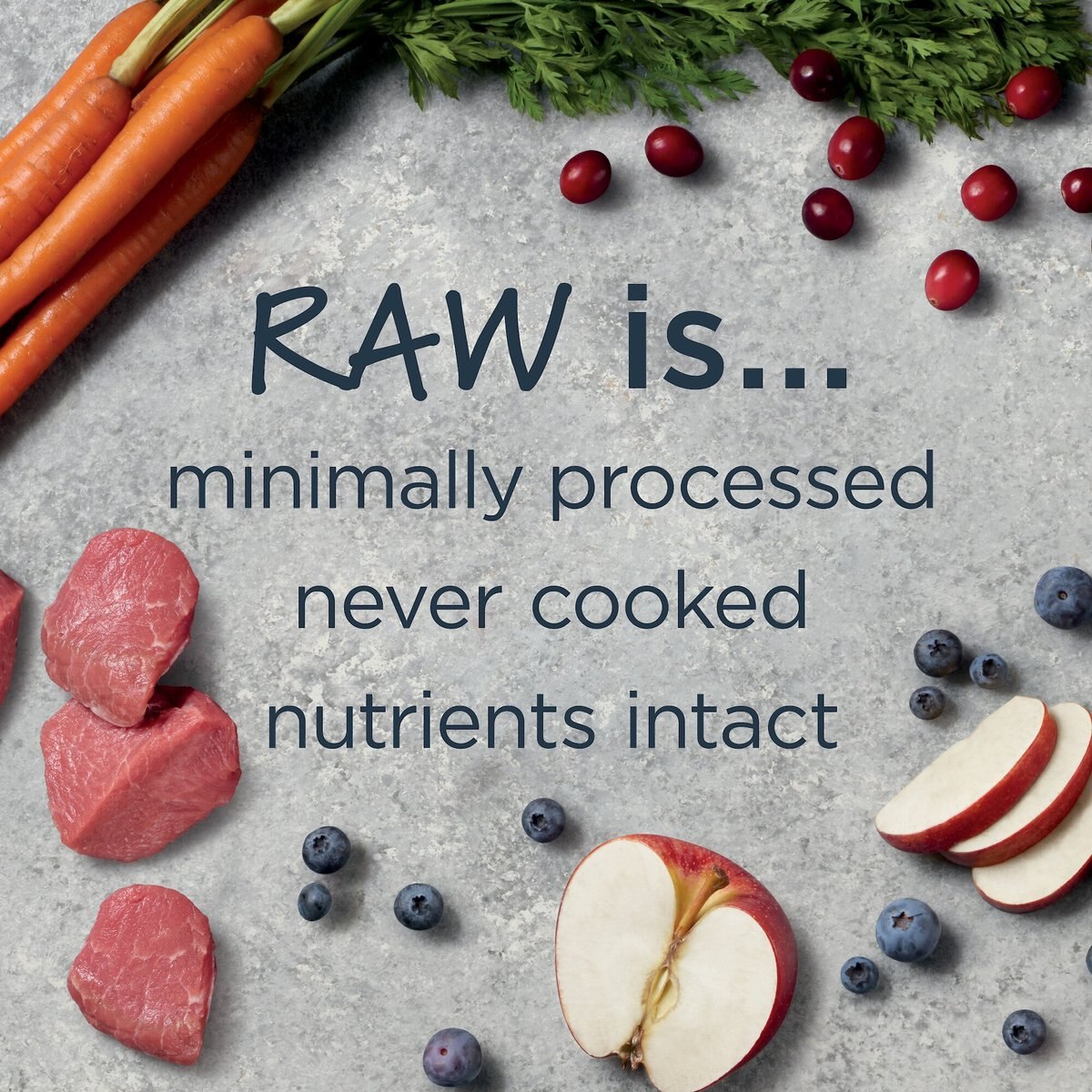 Instinct Raw Boost Whole Grain Real Lamb and Oatmeal Recipe Freeze-Dried Raw Coated Dry Dog Food