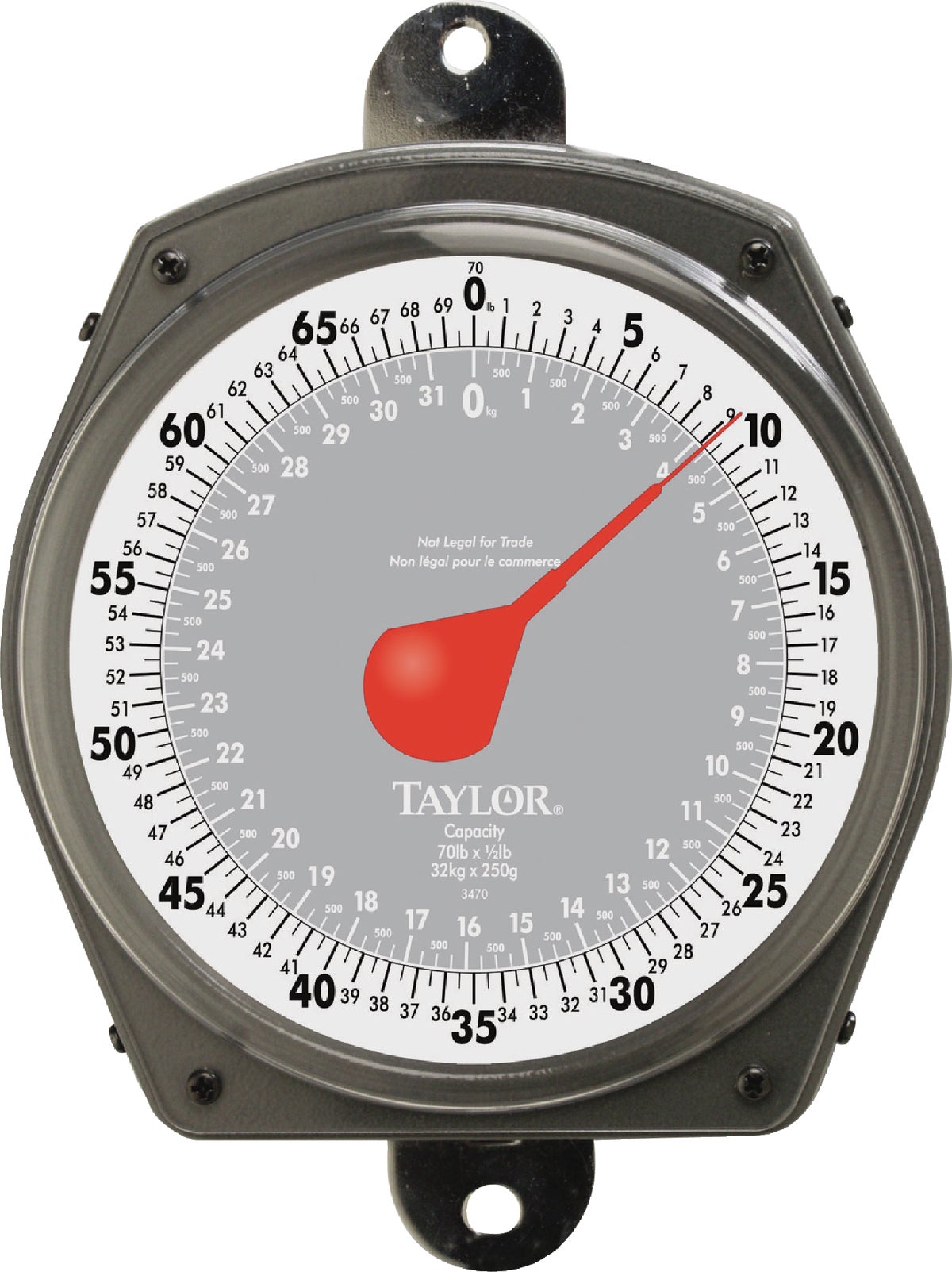 Taylor Dial Hanging Scale 70 Lb   32 Kg