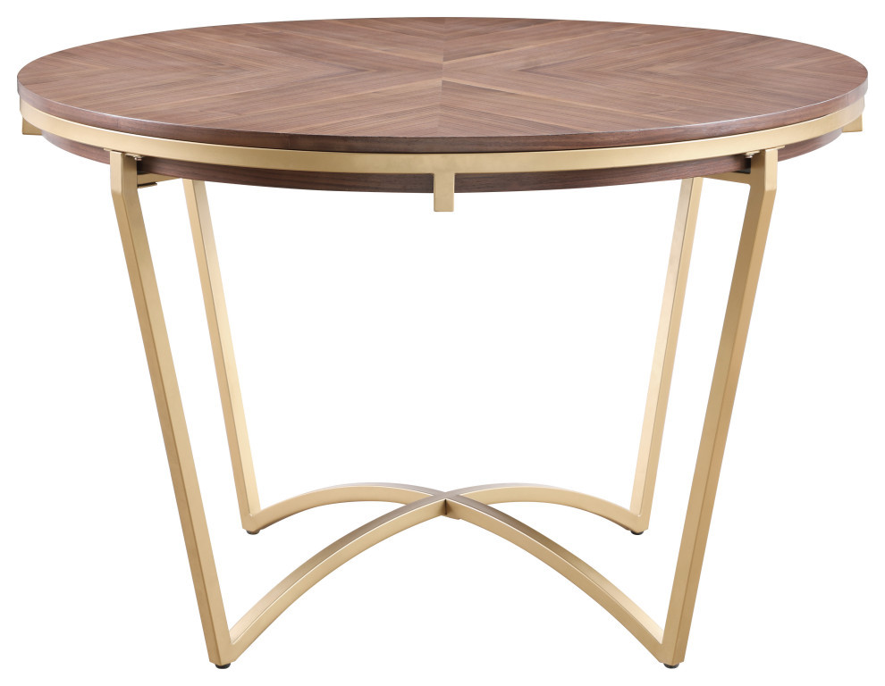 Eleanor Rich Walnut Veneer Coffee Table  Gold Base   Contemporary   Coffee Tables   by Meridian Furniture  Houzz