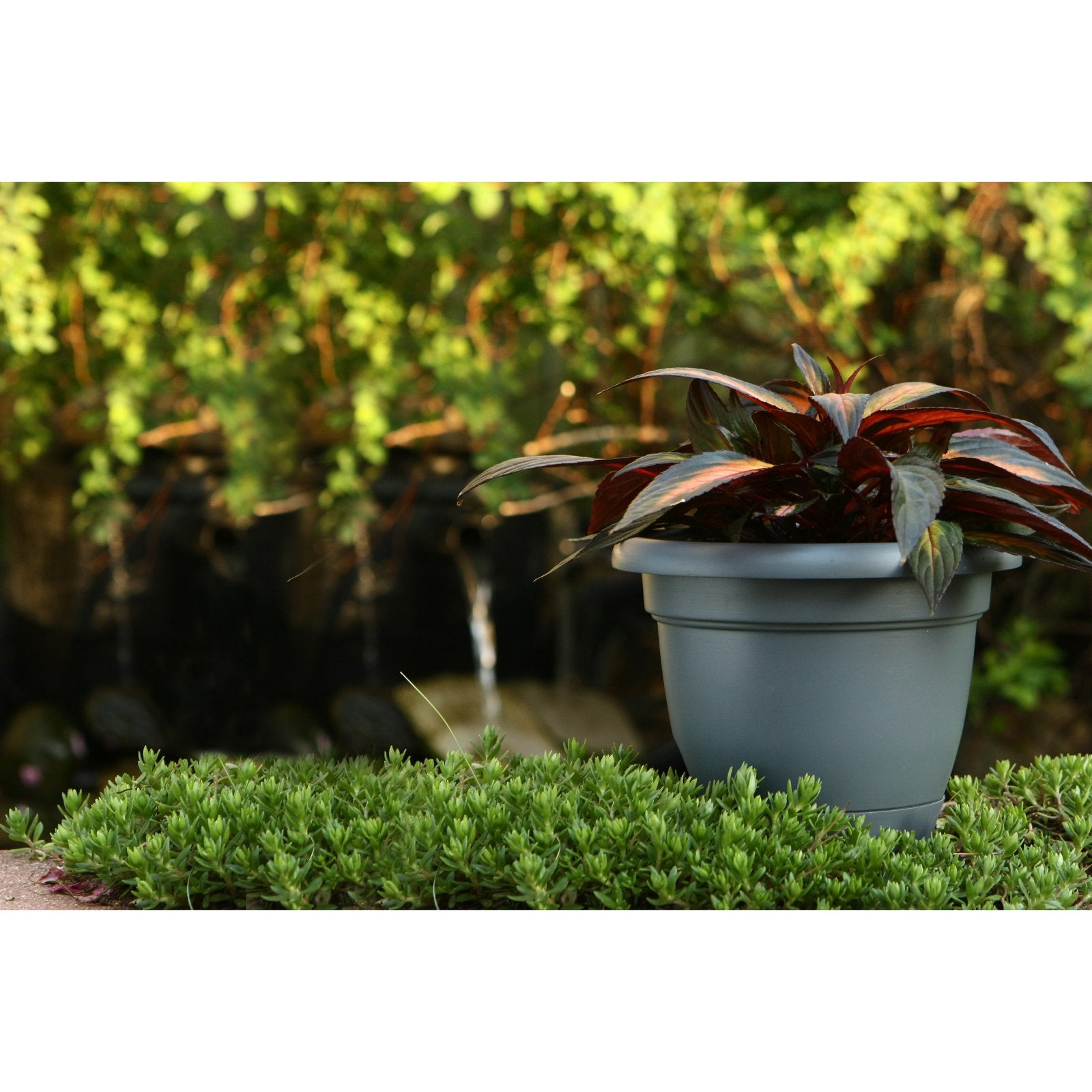 Bloem Lucca Self-Watering Plastic Pot Planter