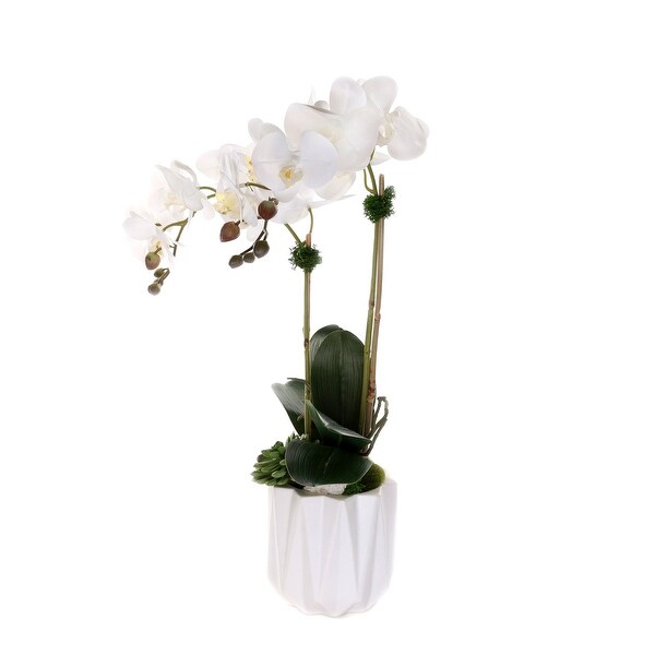 Real Touch Phalaenopsis Orchids with Succulent in White Pot