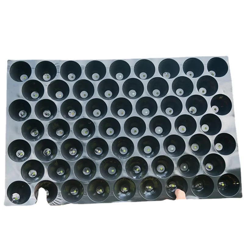 Supply 60g PVC round hole vegetable seedling tray  plastic