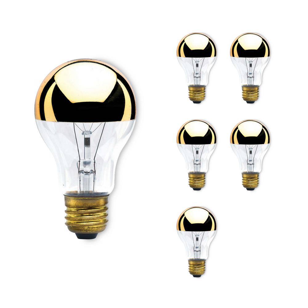 Bulbrite 60-Watt A19 Incandescent Light Bulb Medium Base (E26) Half Gold 2700K (6-Pack) 862027