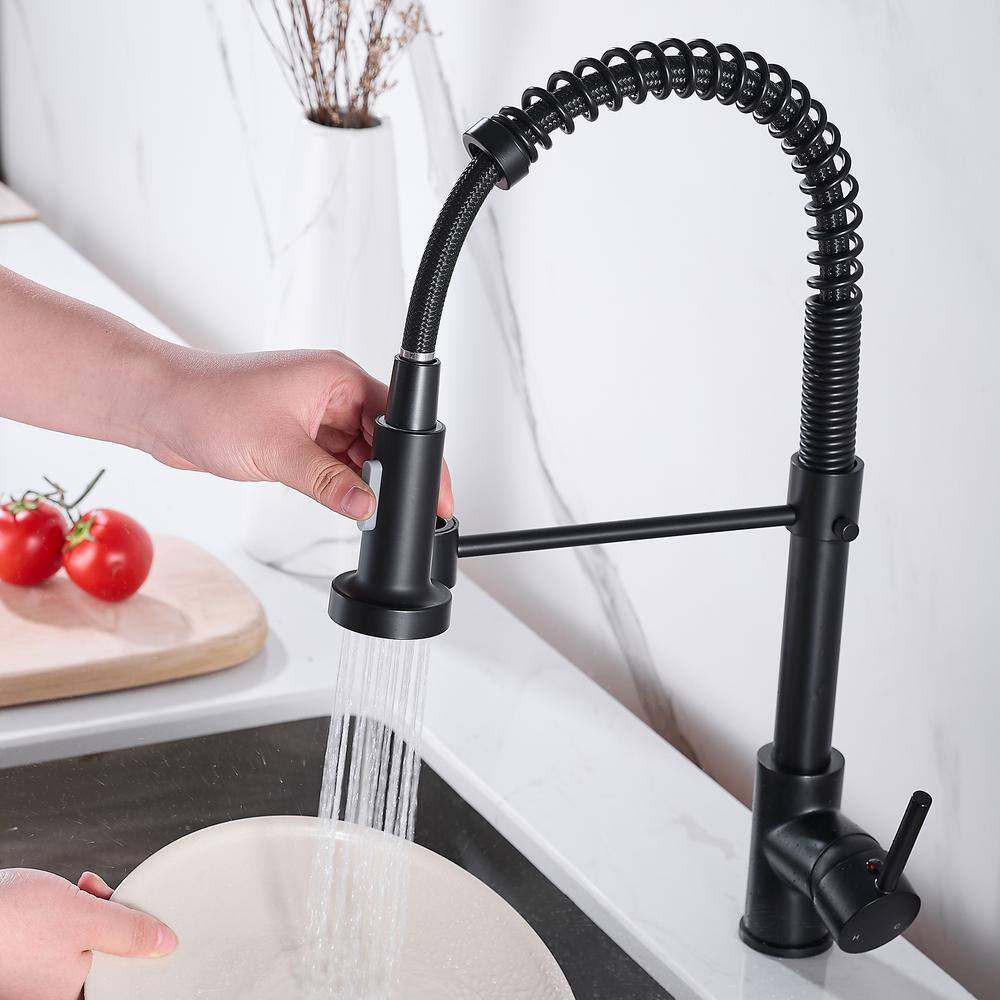 Zalerock Springs Single-Handle Pull-Down Sprayer Kitchen Faucet with Deckplate Included in Matte Black WC05T023