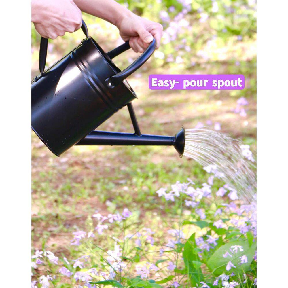 Dyiom 1 Gal. Black Metal Plant Watering Can with Handles Galvanized Steel Watering Pot B09GVGFDKH