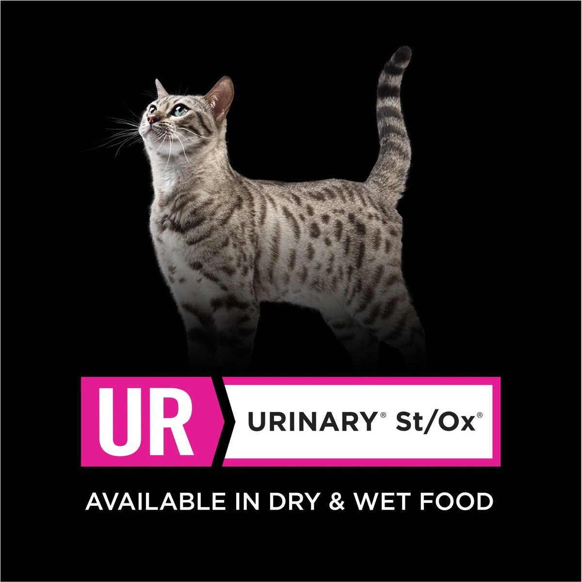 Purina Pro Plan Veterinary Diets UR Urinary St/Ox Savory Selects Salmon in Sauce Wet Cat Food