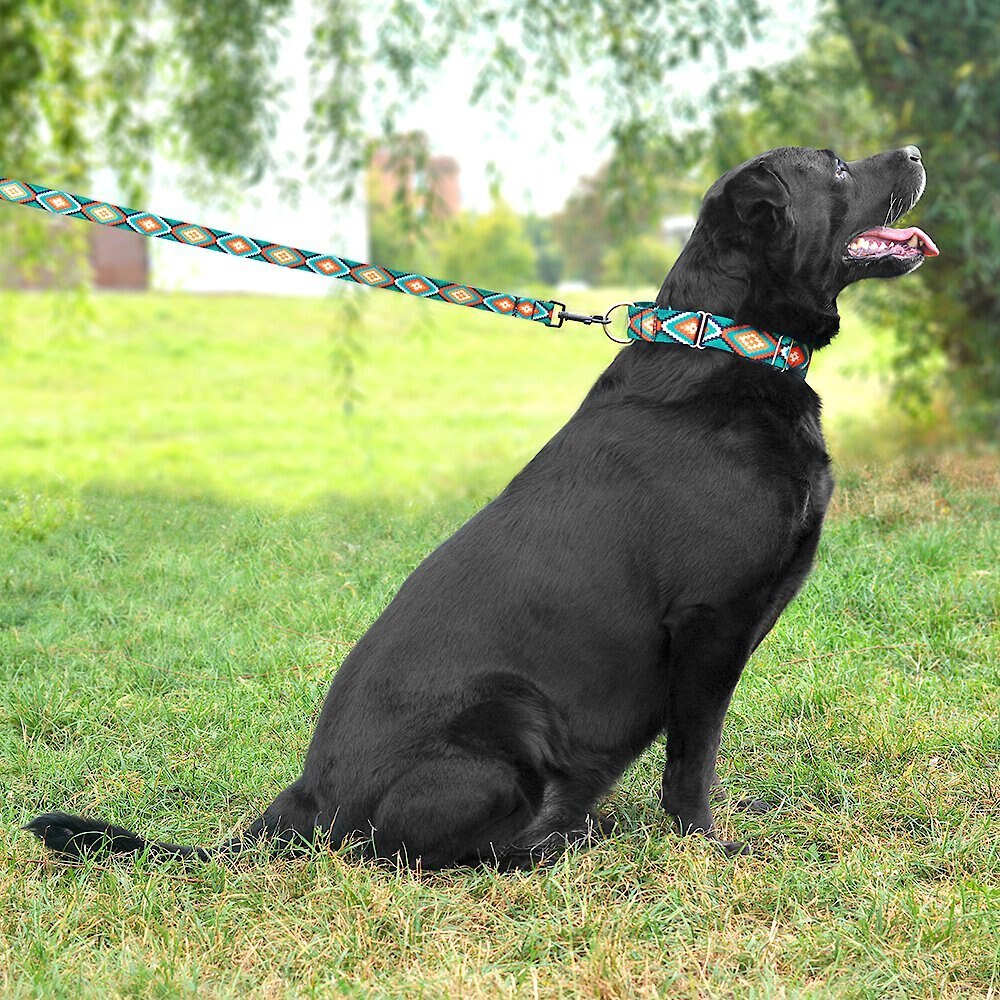 CollarDirect Tribal Aztec Nylon Martingale Dog Collar