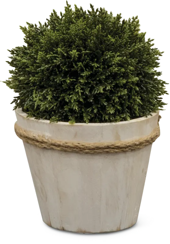 9 Inch Boxwood Ball Faux Arrangement