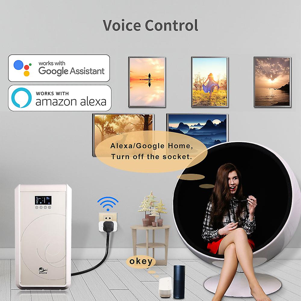 Wifi Smart Plug Outlet Wireless Power Socket Tuya Humidifier Remote Control Work With Alexa Google Home No Hub Required Us