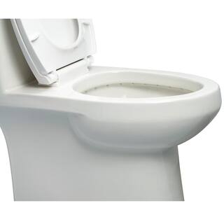 Foremost 1-Piece 1.28 GPF Single Flush Elongated Toilet FM trim in White with Slow Close Toilet Seat Included TL-8423HC-EW-FM