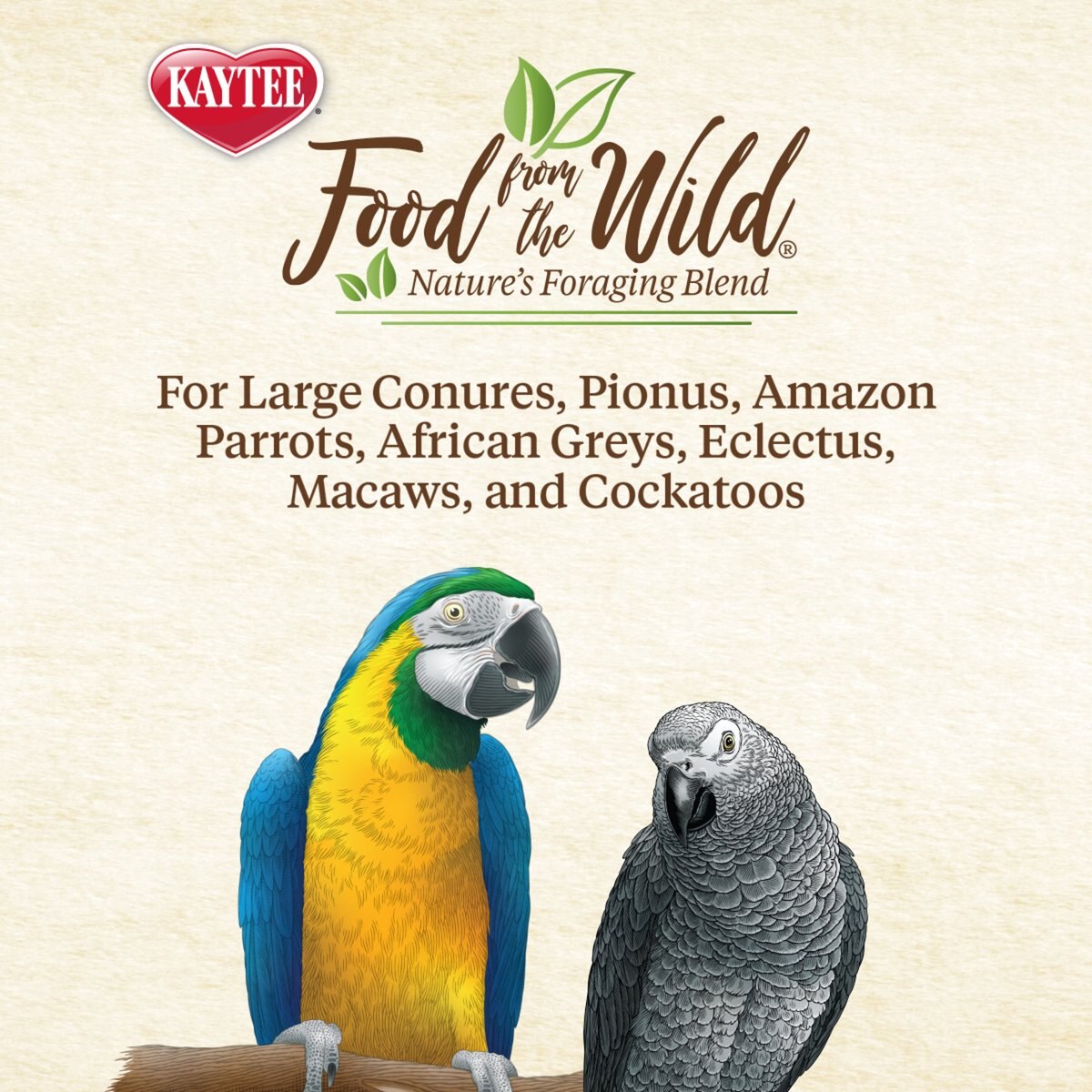 Kaytee Food from the Wild Medley Med and Large Pet Bird Treats， 3-oz bag