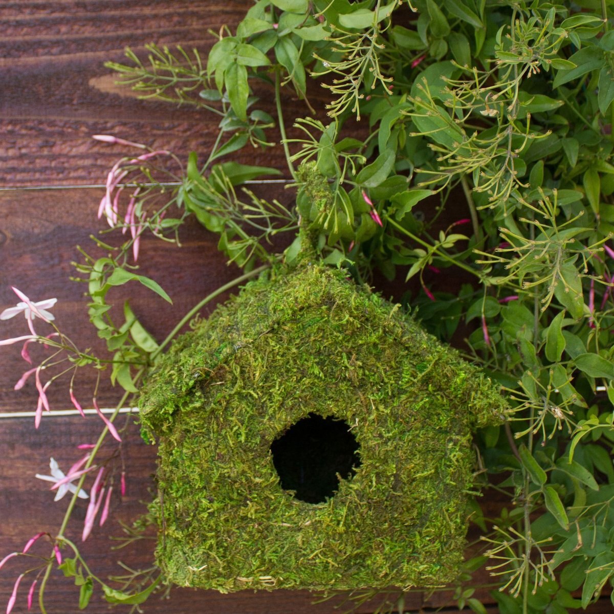 Galapagos Maison Deco Birdhouse， Fresh Green