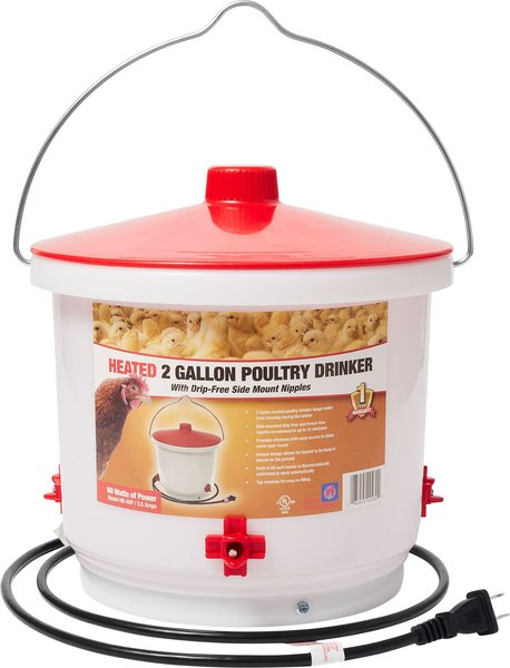 Farm Innovators Heated Poultry Drinker， 2-gal