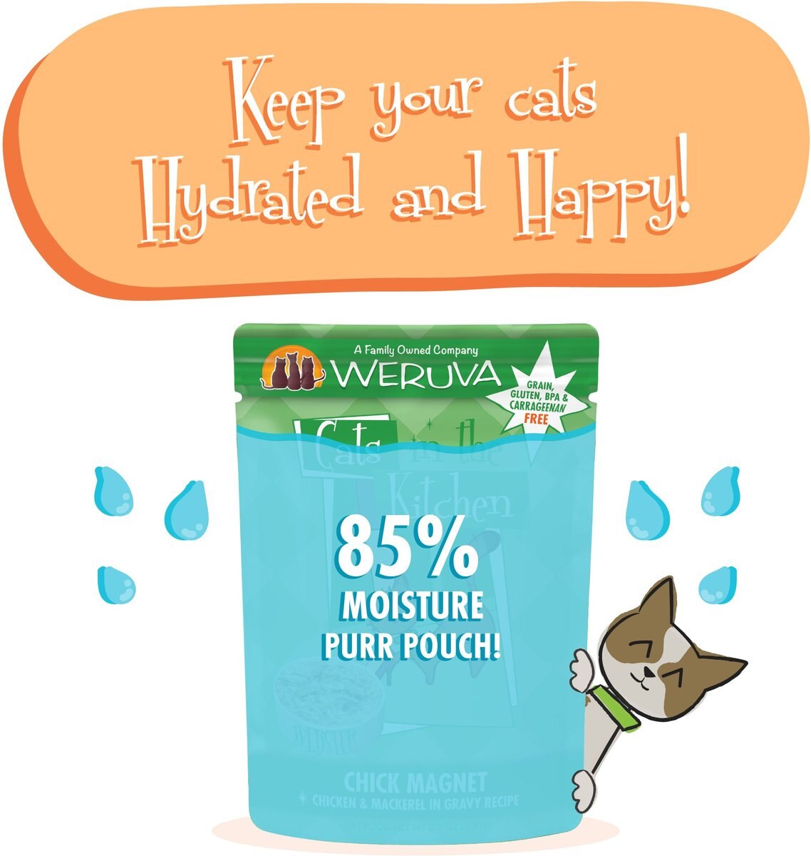 Weruva Cats in the Kitchen Chick Magnet Chicken and Mackerel Recipe Grain-Free Cat Food Pouches