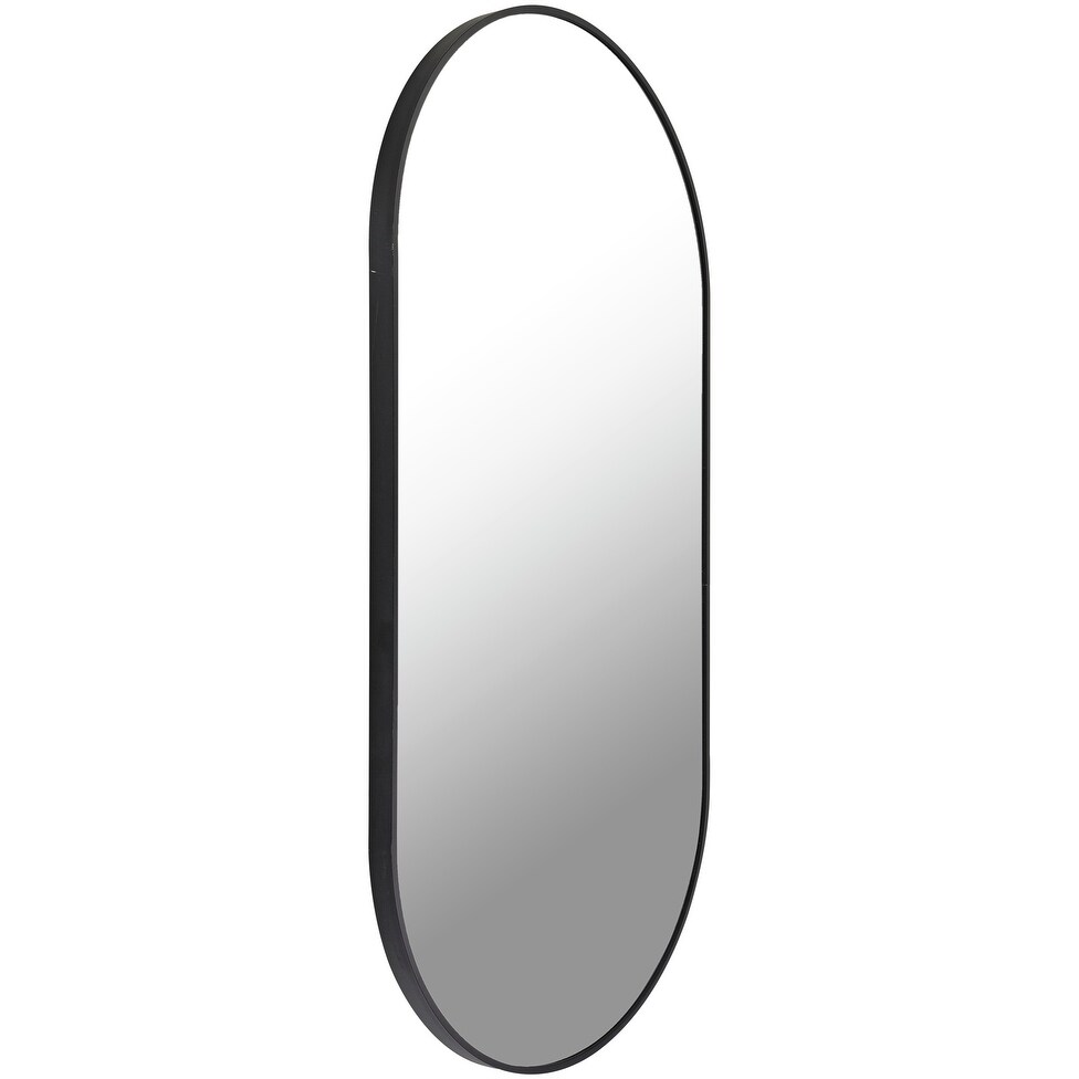 Artistic Weavers Aranya Modern Aluminum Oval Pill Shaped Accent Mirror