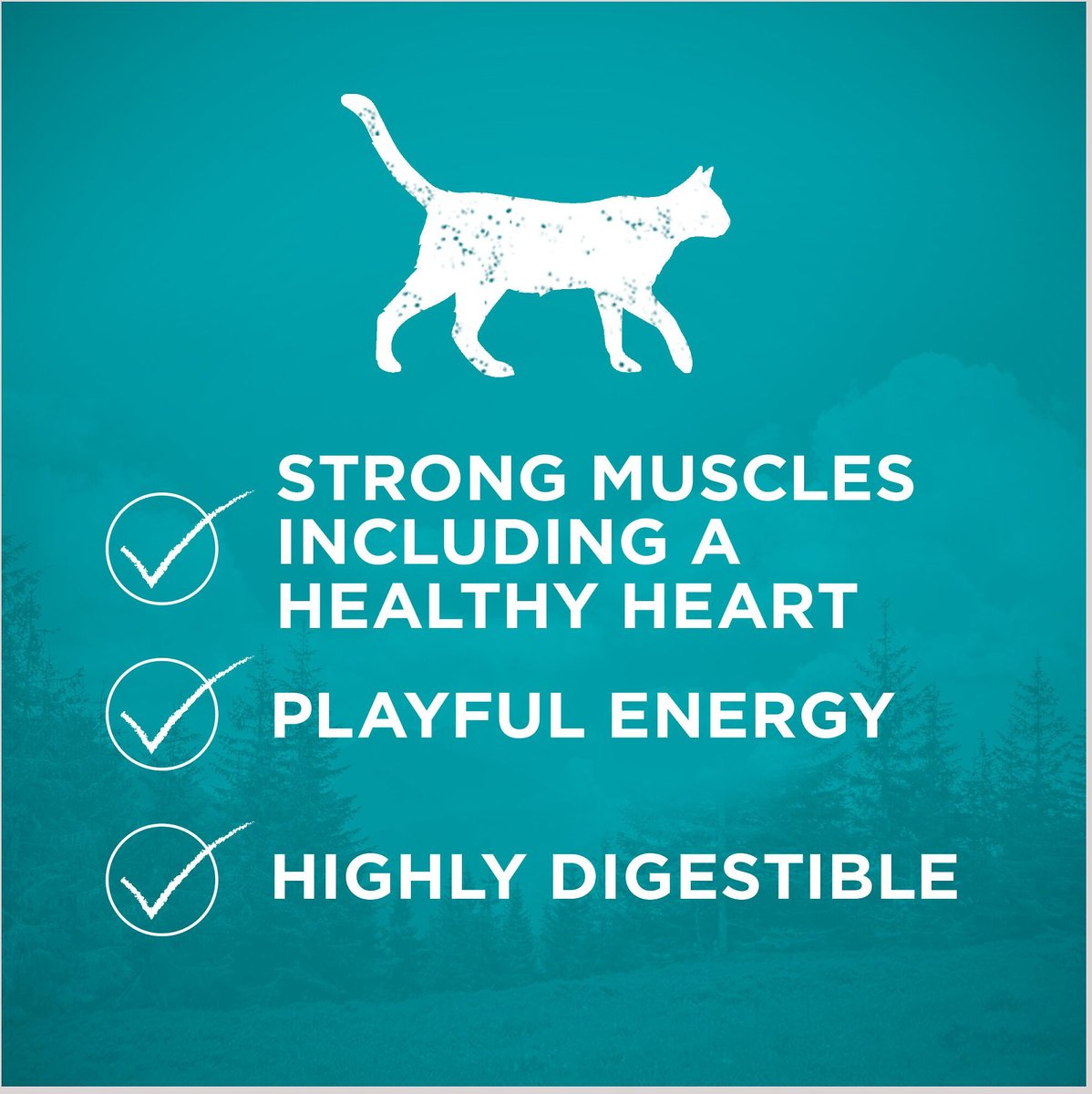 Purina ONE True Instinct Natural Grain-Free with Ocean Whitefish High Protein Dry Cat Food