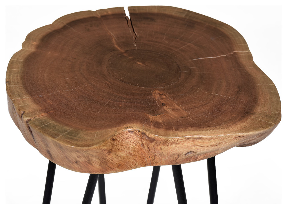 Seti Live Edge Accent Table Top   Industrial   Side Tables And End Tables   by CAROLINA CLASSICS  Houzz