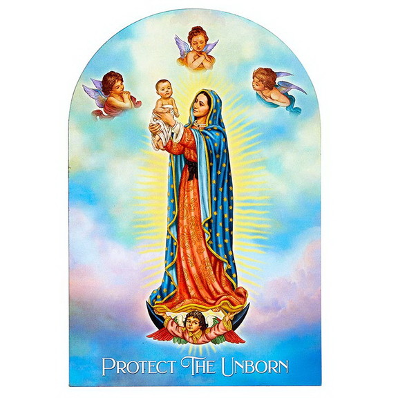 Berkander Berkander Our Lady Of Guadalupe Pro Life