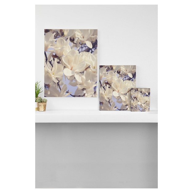 Catherine Mcdonald Asian Magnolias Art Canvas Deny Designs