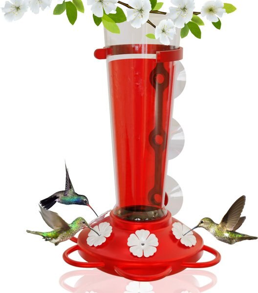 Nature Anywhere Window Hummingbird for Outdoors Bird Feeder