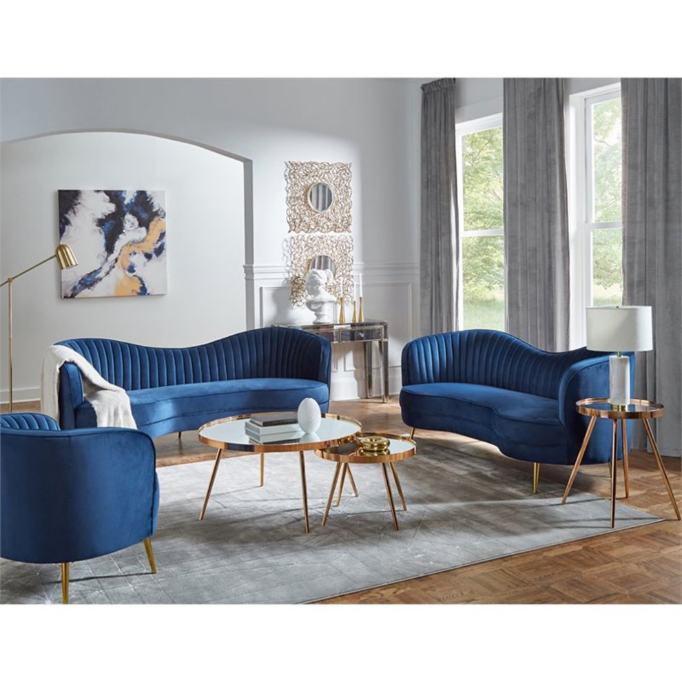 Coaster Sophia 2 Piece Contemporary Velvet Camel Back Sofa Set in Blue   Midcentury   Living Room Furniture Sets   by Homesquare  Houzz