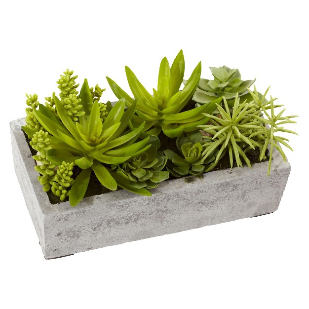 Nearly Natural Succulent Garden With Concrete Planter