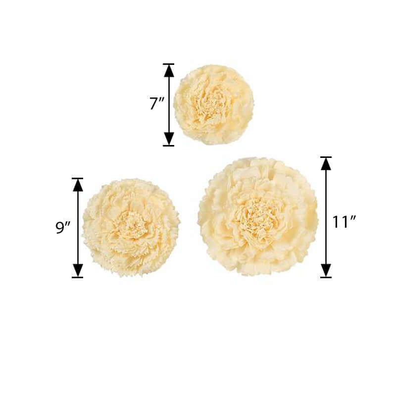 Set of 6 Ivory / Cream Carnation 3D Paper Flowers Wall Decor 7