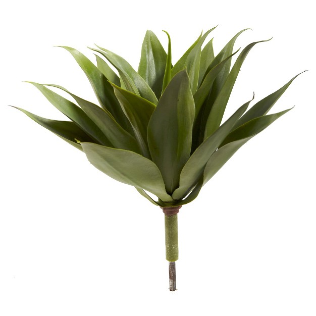 Agave Succulent Plant (set Of 2)