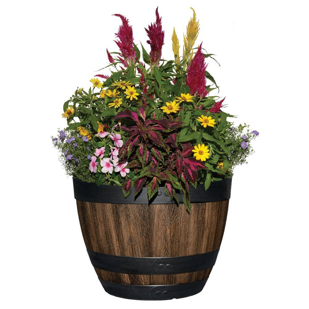 Vigoro 20 in. Reedley Large Kentucky Walnut Brown Resin Wine Barrel Planter (20 in. D x 14.5 in. H) HD1313-037