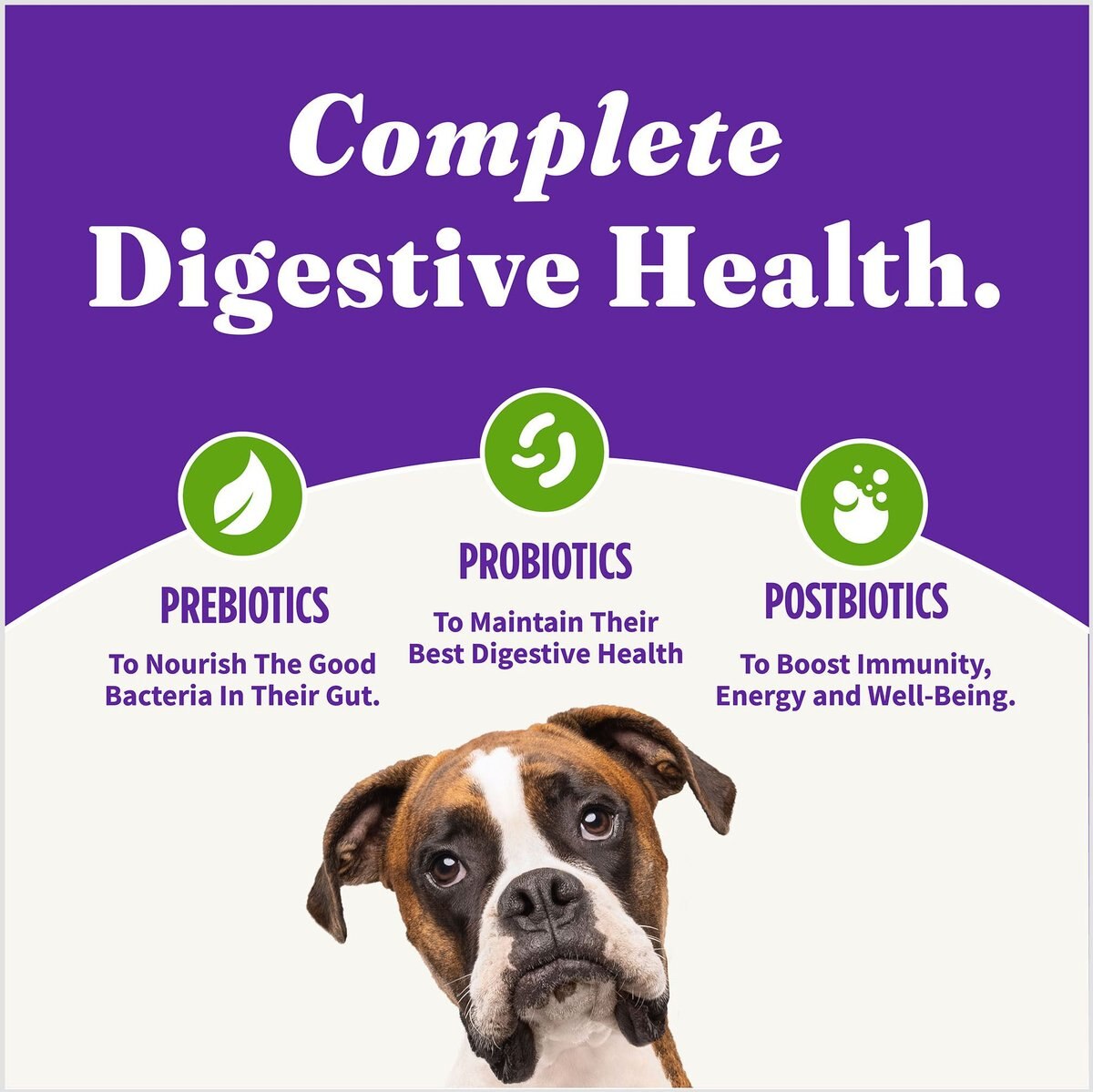 Halo Holistic Vegan Dog Food Complete Digestive Health Plant-Based Recipe with Superfoods Adult Formula Dry Dog Food