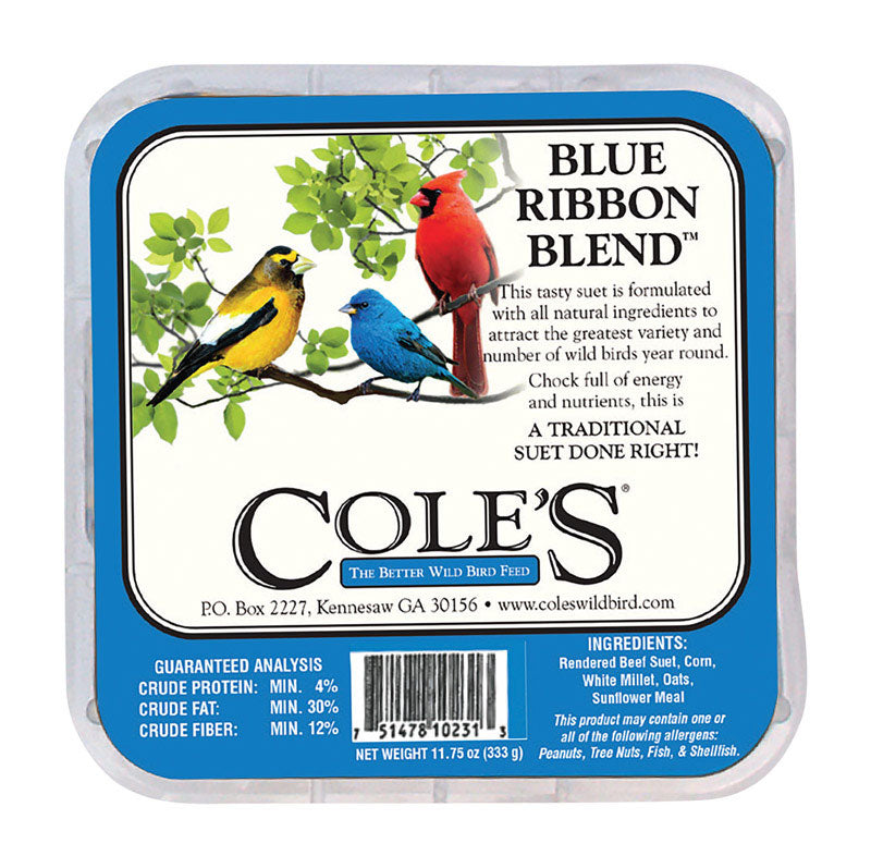 BLUE RIBBN BIRD SUET11OZ