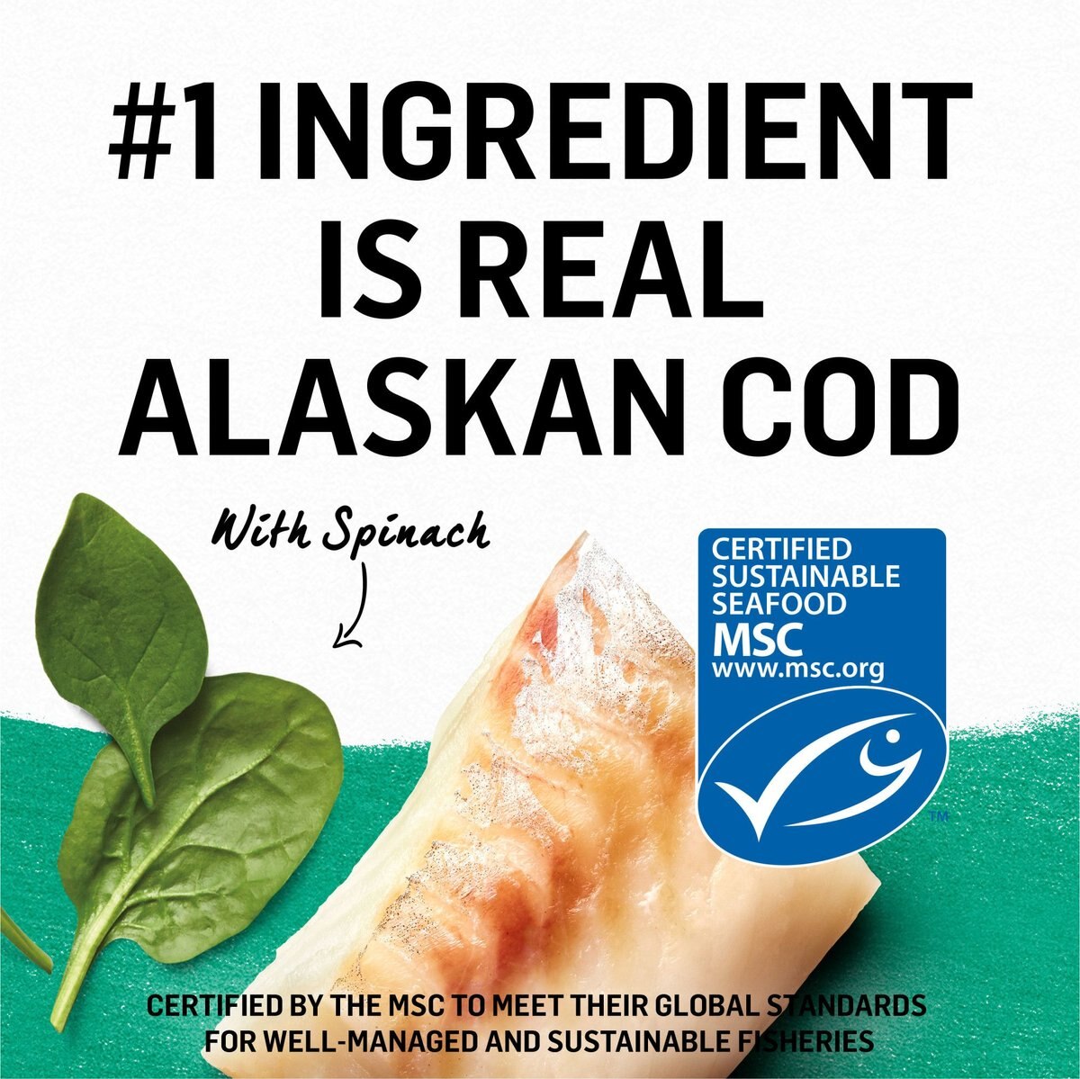 Purina Beyond Grain-Free Pate Alaskan Cod and Spinach Recipe Canned Cat Food