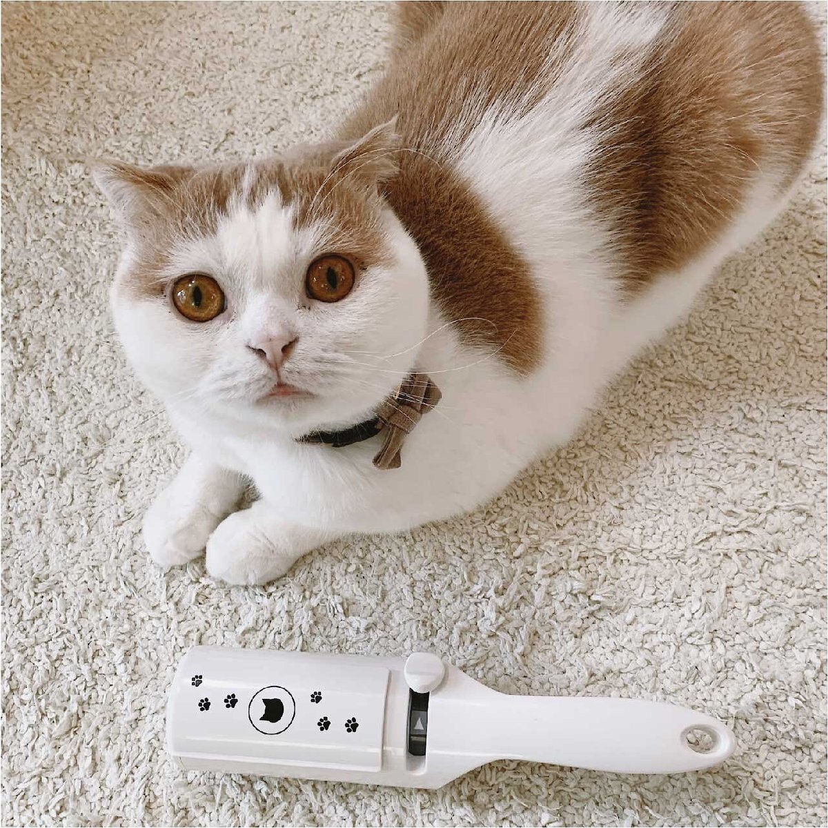 Necoichi Purrfection Neat and Easy Feline Hair Remover