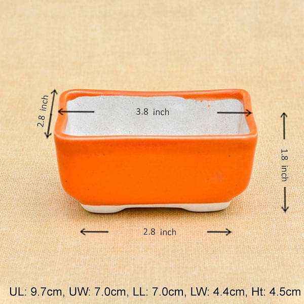 3.8 inch (10 cm) Bonsai Rectangle Ceramic Pot (Orange) (set of 3)