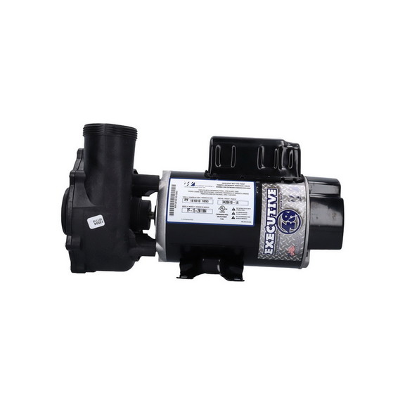 Waterway 3420610 1A Pump  Waterway Executive 48  1...