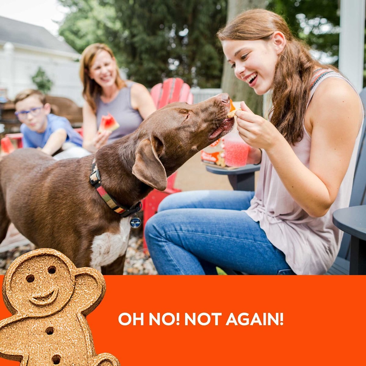 Buddy Biscuits Original Oven Baked with Peanut Butter Dog Treats