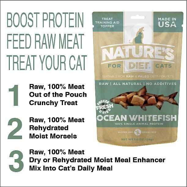 Nature's Diet Whitefish Raw Freeze-Dried Cat Treats， 1-oz pouch