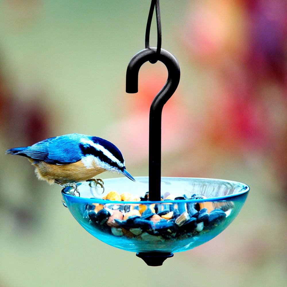 Mosaic Birds Single Hanging Poppy Bird Feeder， 4.7-oz