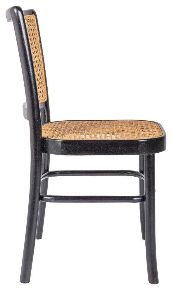 East at Main Pia Black Mahogany  ampNatural Rattan Side Chair (Set of 2)   Tropical   Dining Chairs   by East at Main  Houzz