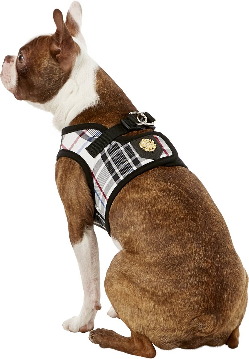 Puppia Junior B Style Polyester Step In Back Clip Dog Harness