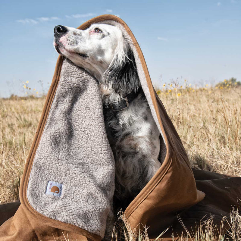 Carhartt Dog Blanket